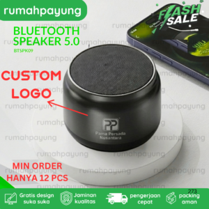 Speaker Bluetooth BTSPK09